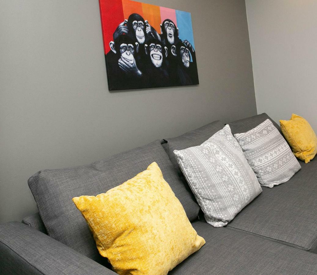 11 College Place North Белфаст Екстериор снимка